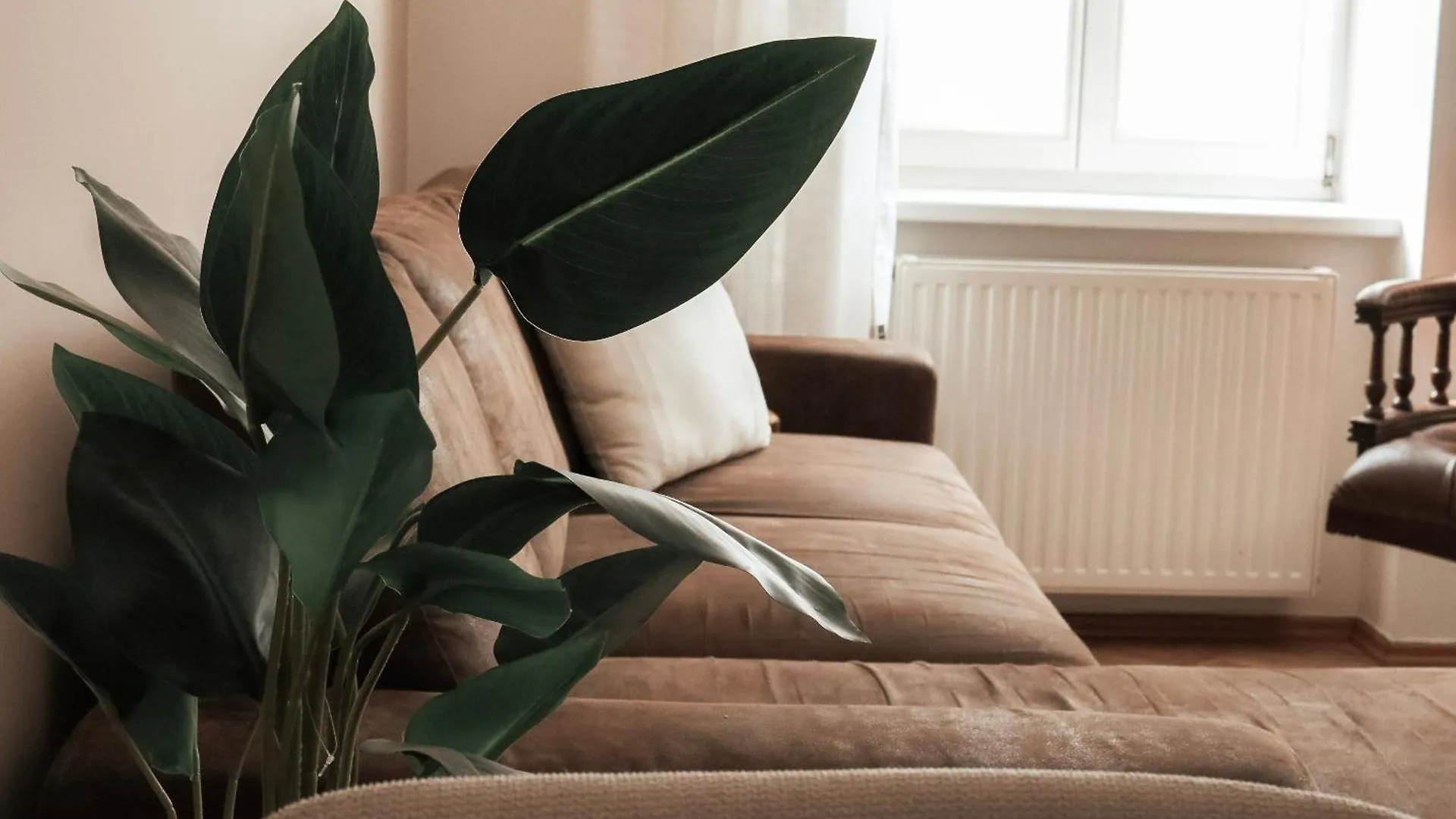 Cozy And Charming Apartment Near City Centre With 2 Bathrooms Štýrský Hradec